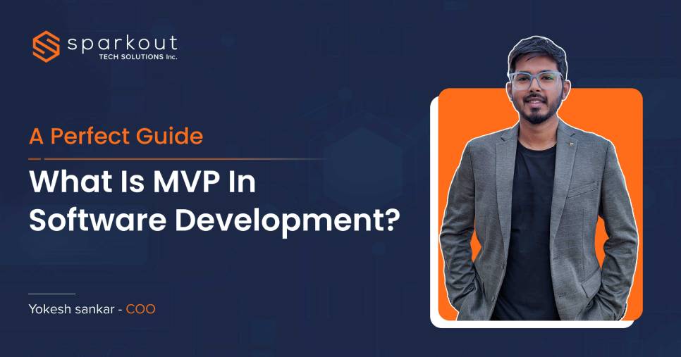 What Is MVP In Software Development? - A Perfect Guide