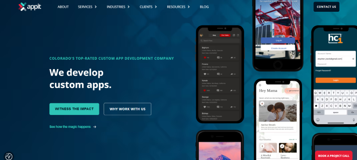 Company logo or brand banner representing AppIt Ventures and its mobile app and custom software development services