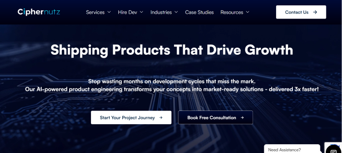 Company logo or brand banner representing Ciphernutz IT Services and its software development and IT solutions