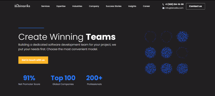 Binariks enterprise application modernization company overview
